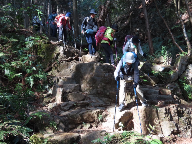 日和田山、物見山